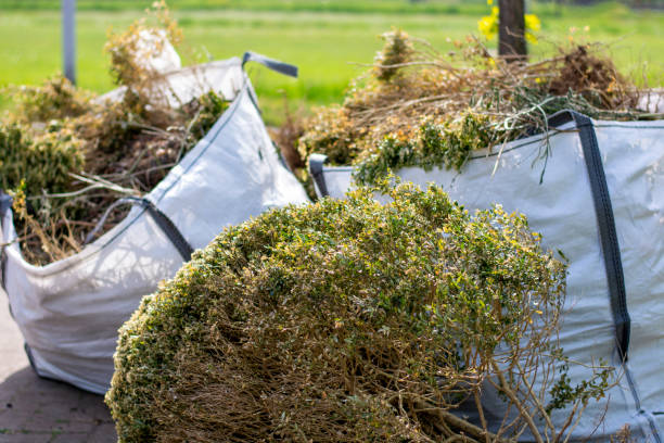 Trusted North Plymouth, MA Junk Removal Services Experts